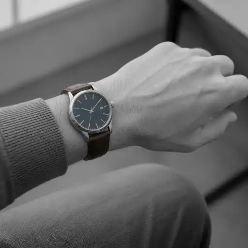 wristwatch